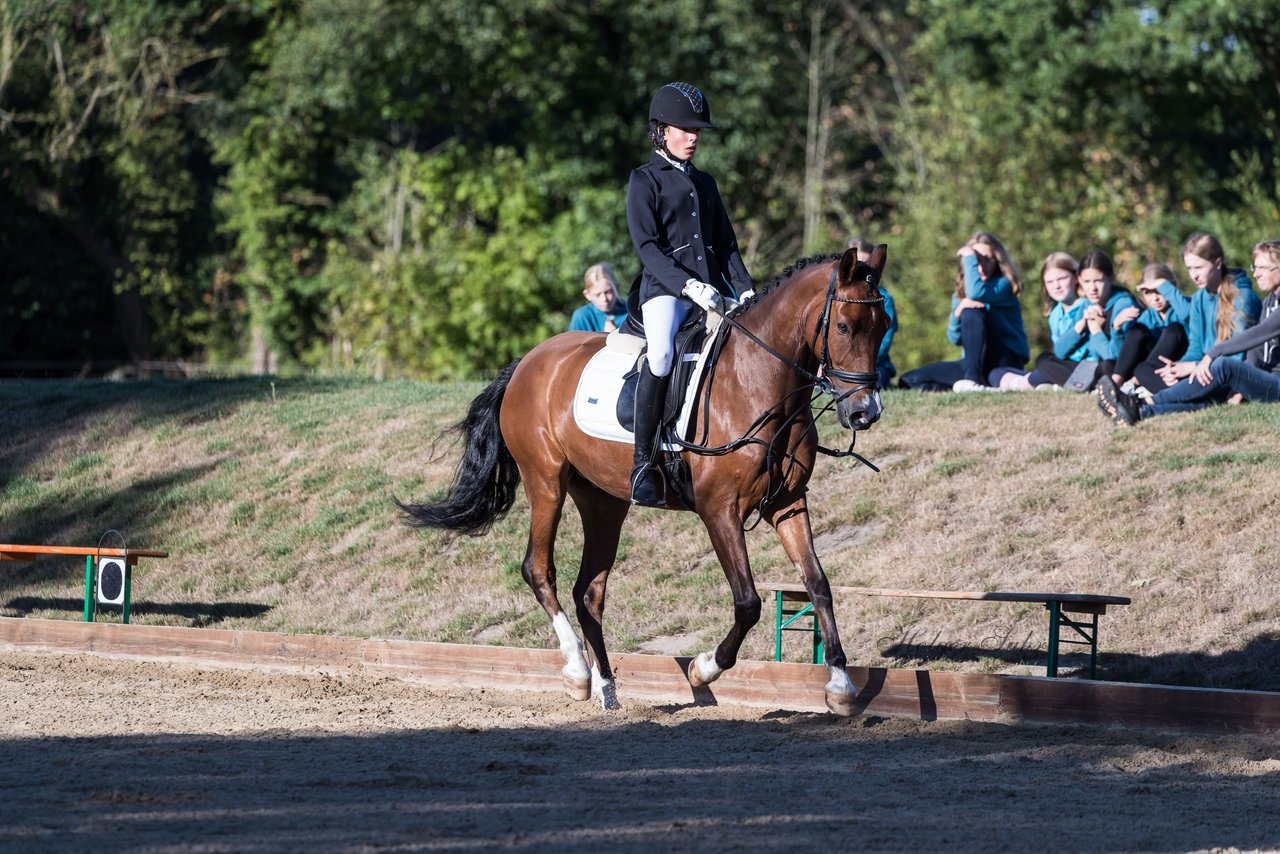 Bild 54 - Pony Akademie Turnier